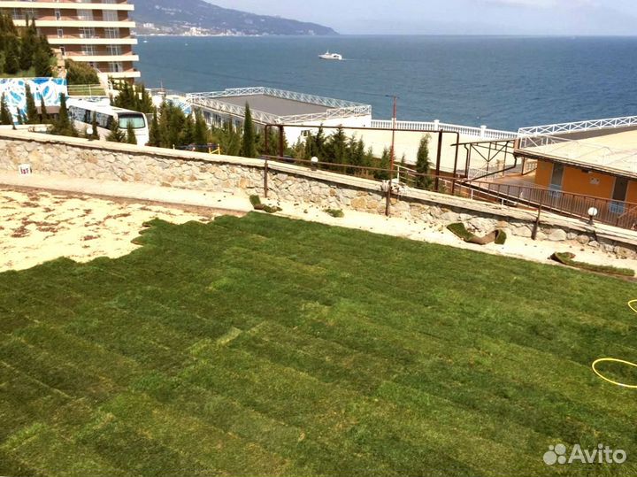 Рулонный газон