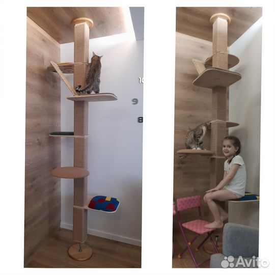 Когтеточка, когтедерка, комплекс, домик