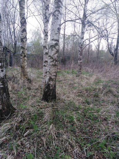 Участок 6 сот. (СНТ, ДНП)