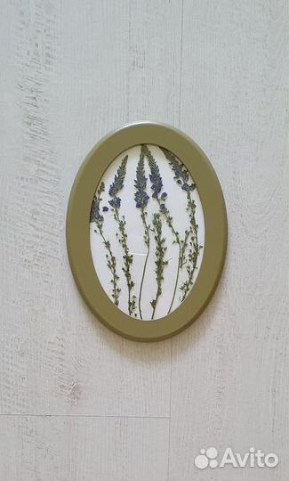 Панно на стену гербарий сухоцветы в овальной рамке