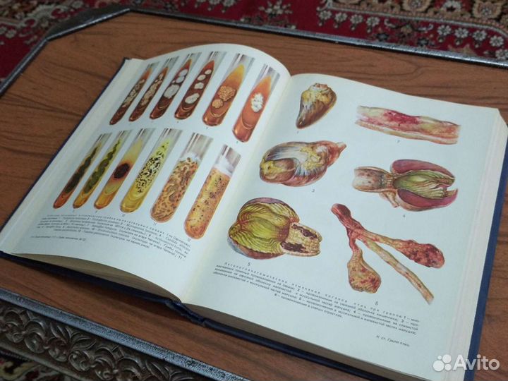 Ветеринарный Энциклопедический Словарь