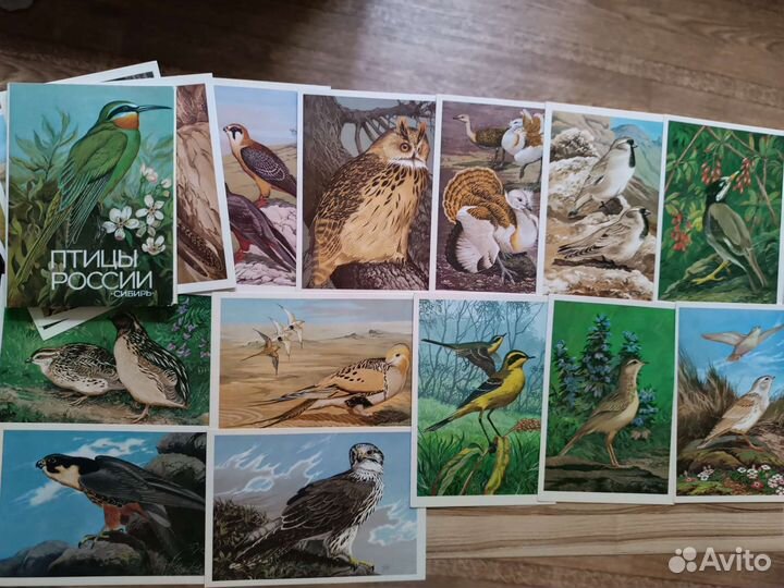 Наборы открыток