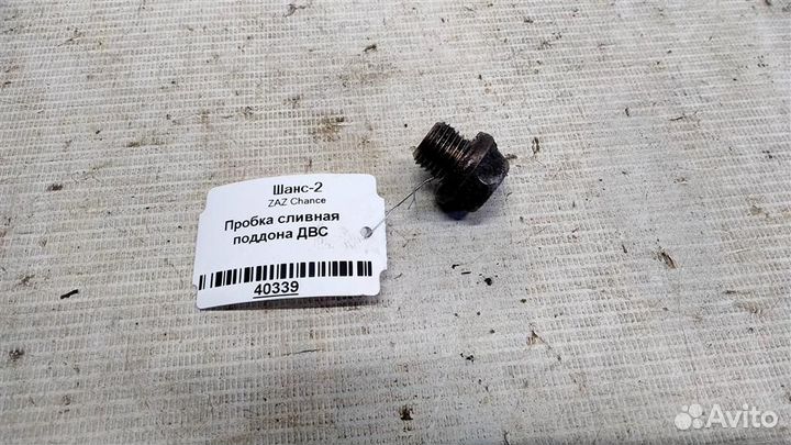 Пробка сливная поддона двс ZAZ Chance 02г