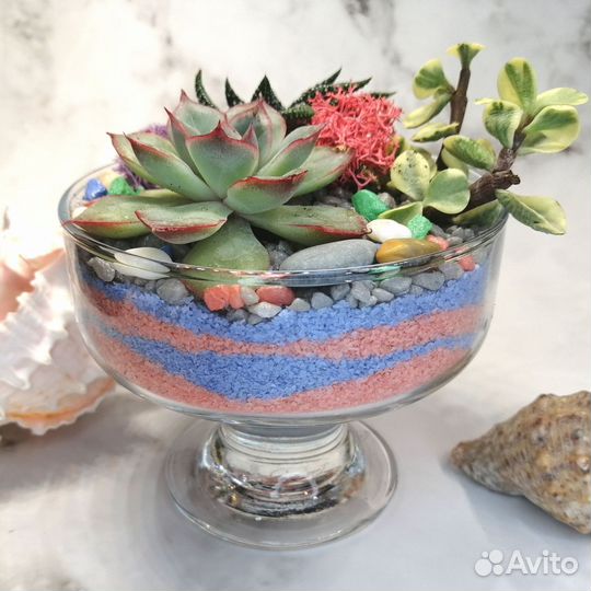 Флорариум с суккулентами