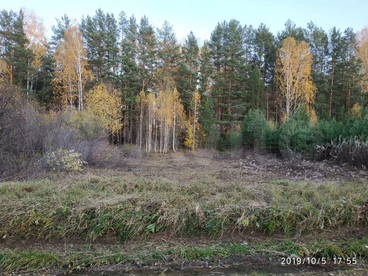 Участок 6,5 сот. (СНТ, ДНП)