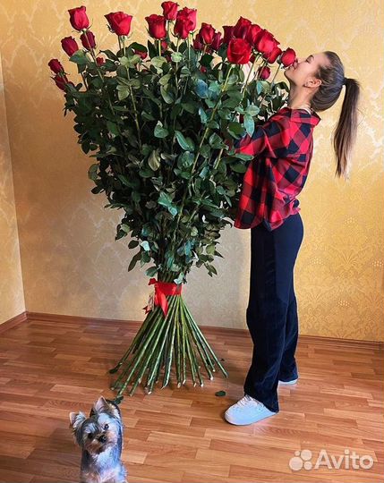 Метровые розы Колумбия