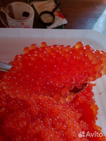 Свежая икра горбуши кеты 2024г