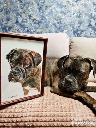 Пишу портрет на заказ. Карандаш,акрил,масло