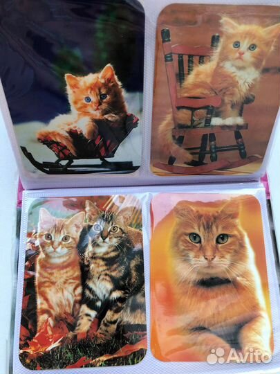 Коллекция карманных календариков с кошками, 170 шт