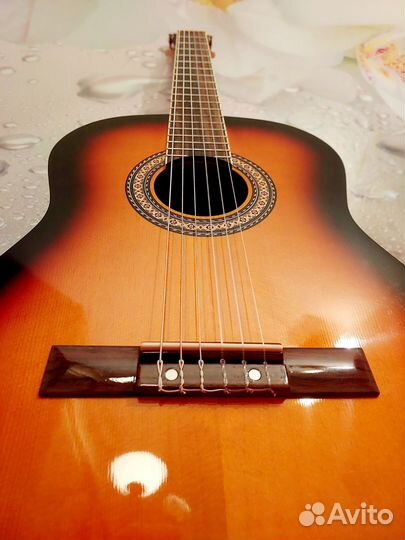 Гитара Martinez Fac-504