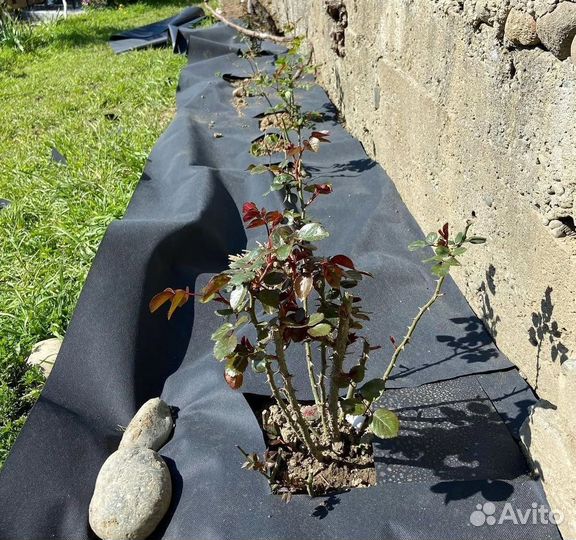 Геотекстиль оптом и в розницу