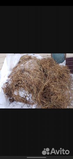 Солома бесплатно