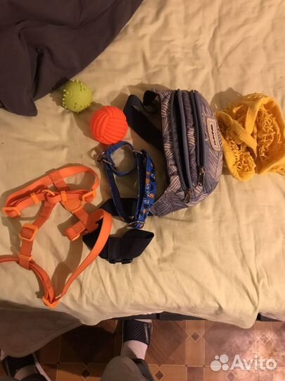 Собачьи вещи, игрушки