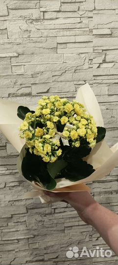 Цветы в горшках с оформлением на Ваш вкус