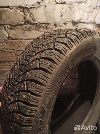 Cordiant Polar 195/95 R15 91