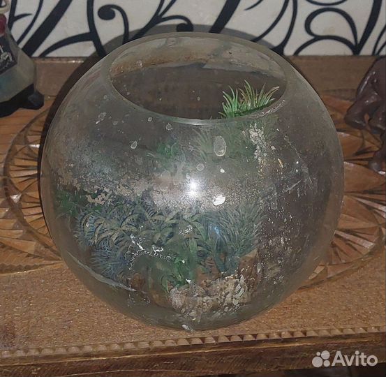 Аквариум круглый