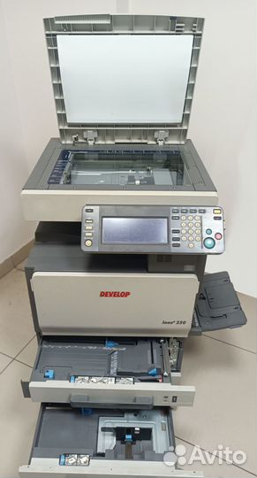 Мфу цветной develop ineo+250