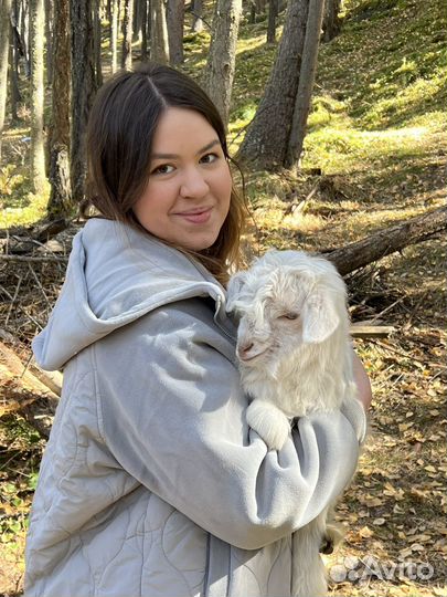 Преподаватель русского языка как иностранного