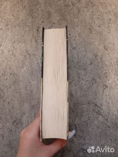 Книга город костей