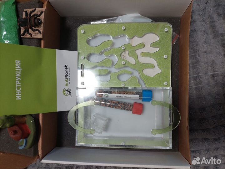 Муравьиная ферма