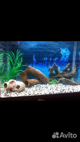 Продам два аквариум