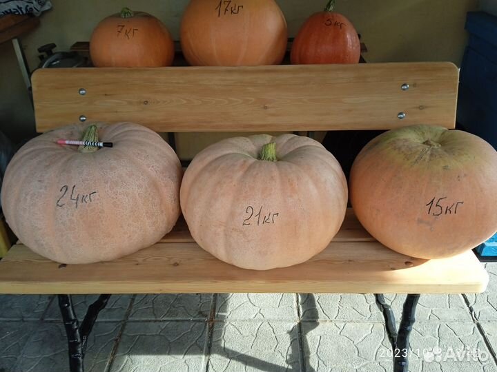 Продукты питания