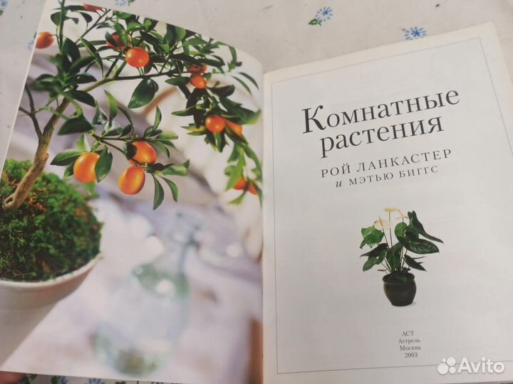 Ланкастер Комнатные растения 2003