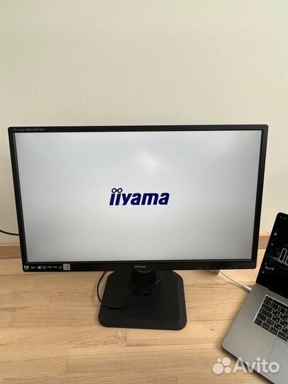 Монитор iiyama