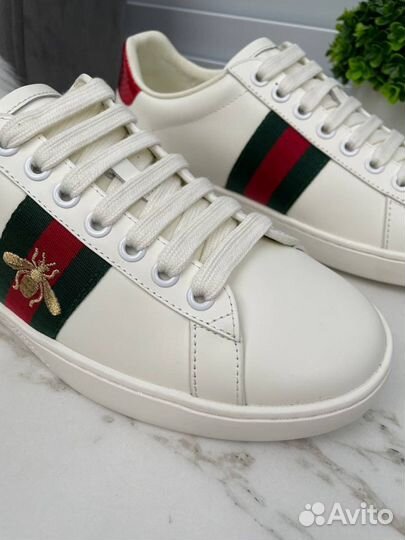 Кеды Gucci Ace