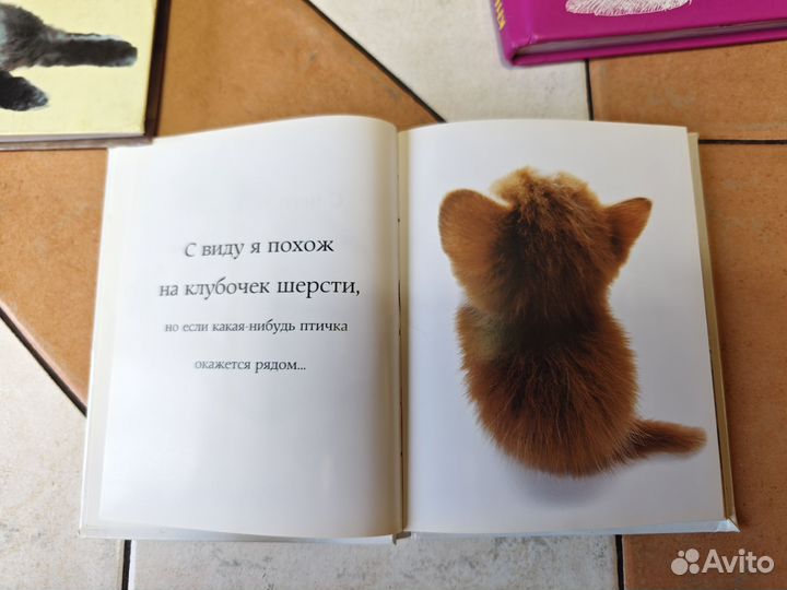 О кошках 3шт