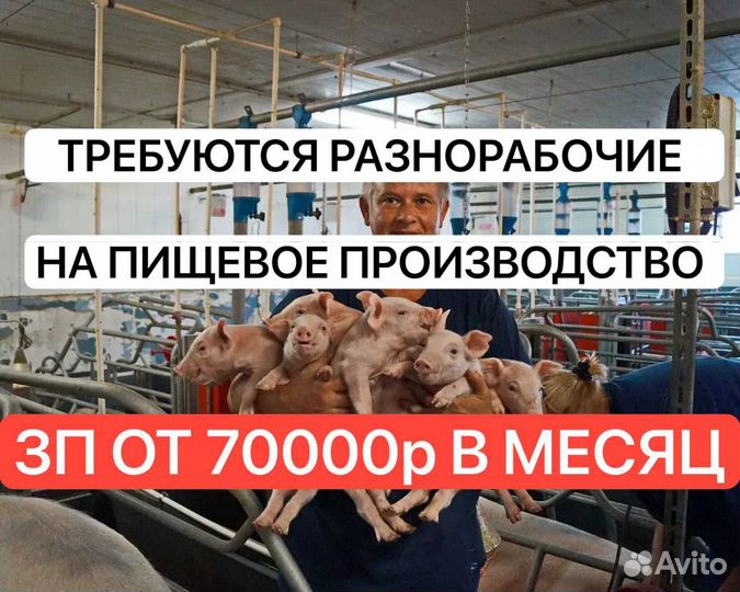 Сотрудник по изготовлению консервов вахта