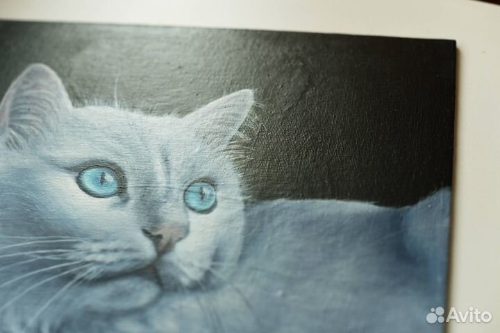 Картина маслом Портрет белого кота