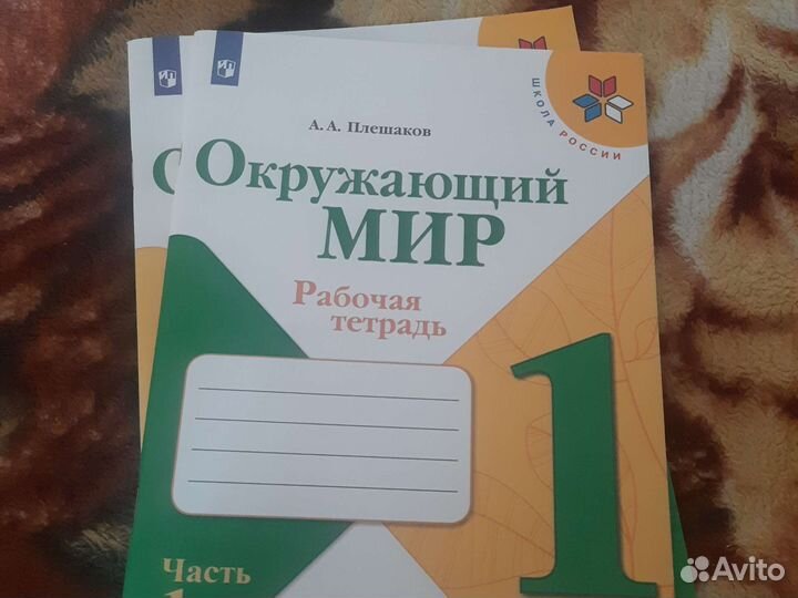 Рабочие тетради 1 класс школа россии
