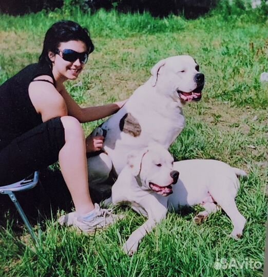 Индивидуальная домашняя передержка в частном доме