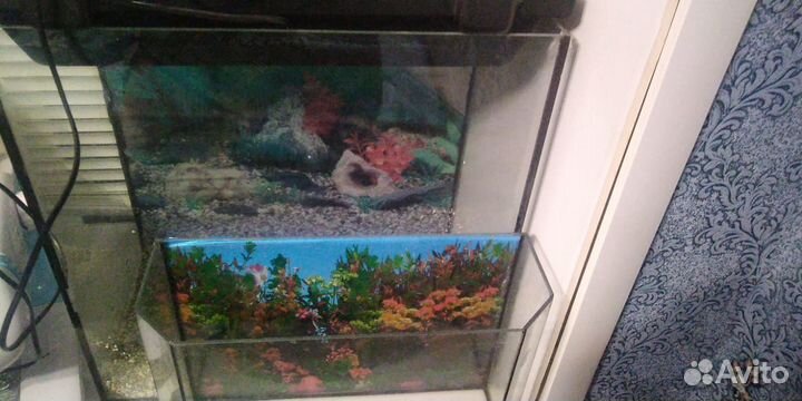 Аквариум