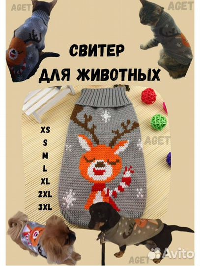 Одежда для животных