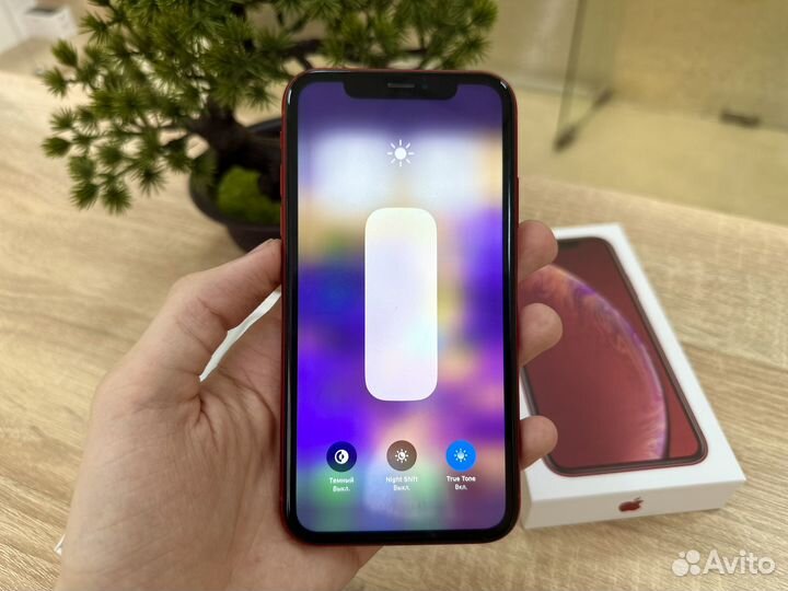 iPhone Xr, 128 ГБ
