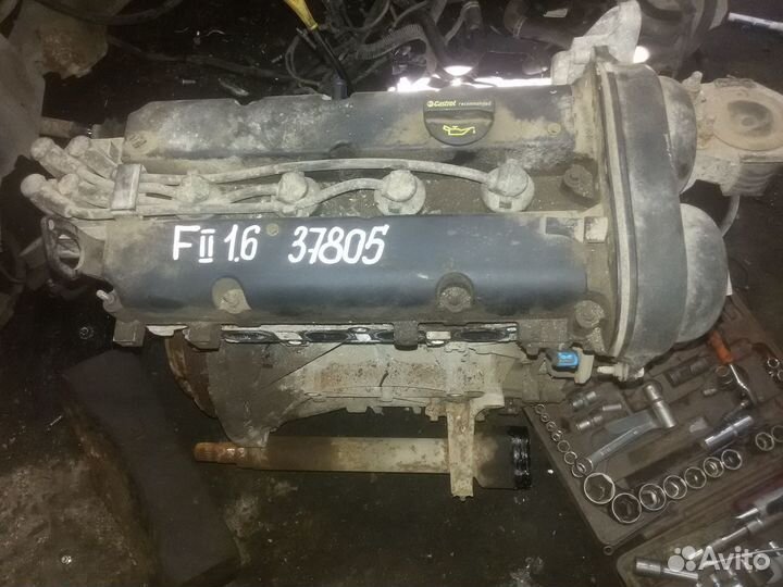 Ford Focus 2 двигатель 1.6 100 л. с