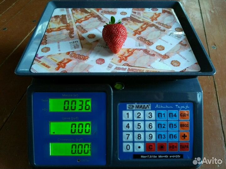 Клубника, рассада