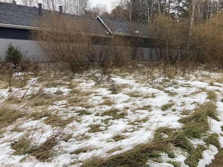 Участок 26 сот. (личное подсобное хозяйство (лпх))