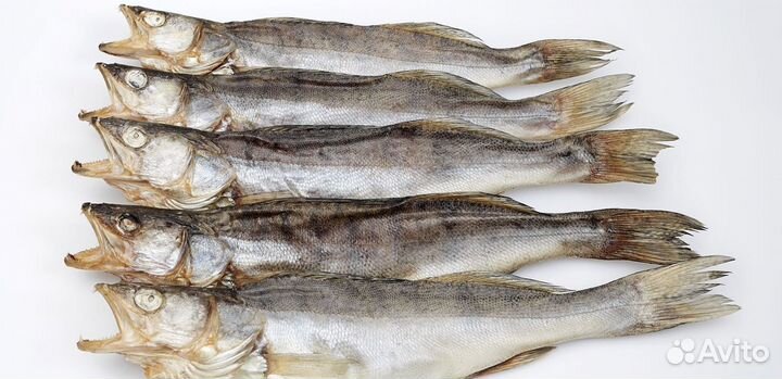 Рыба вяленая