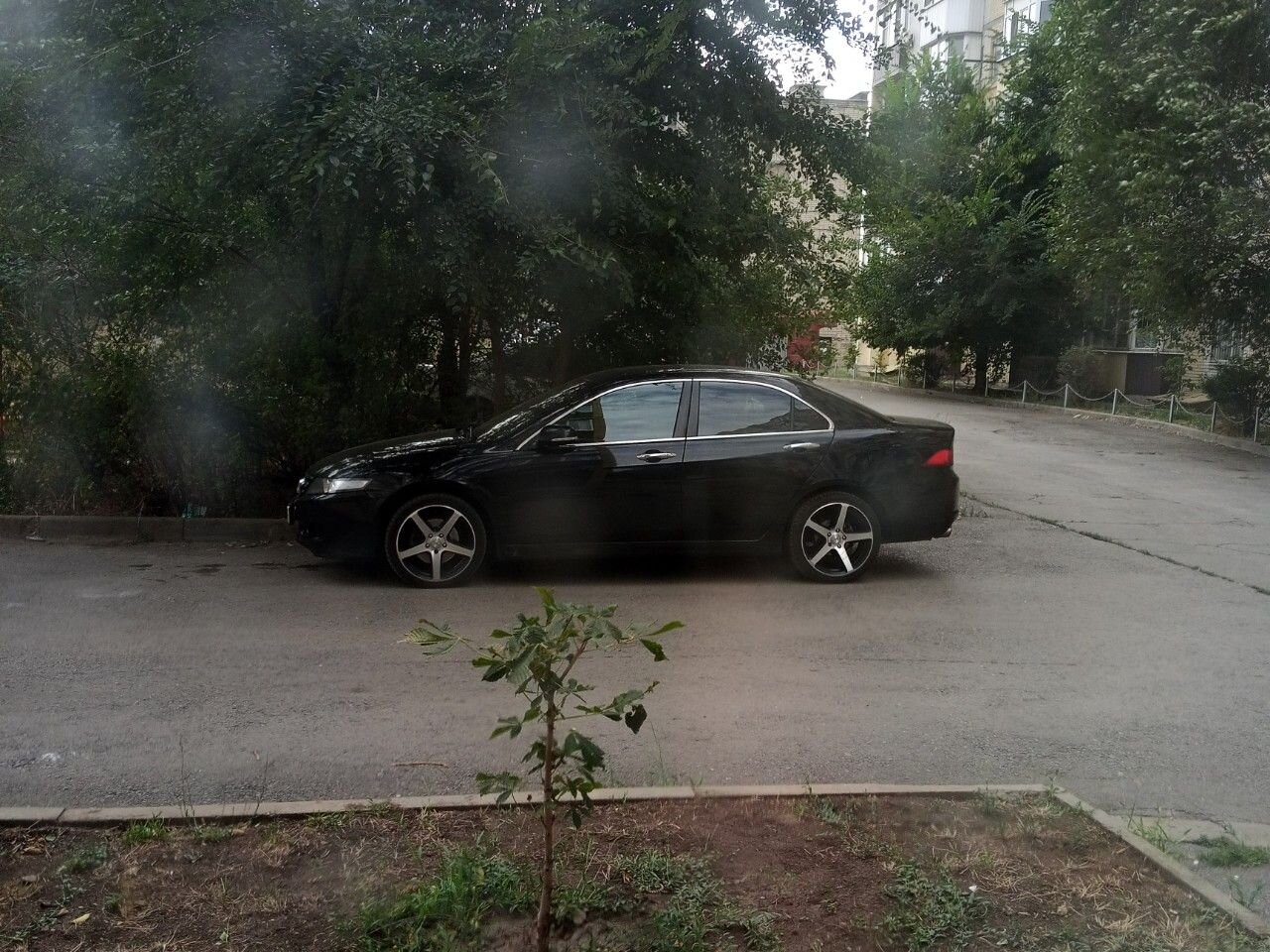 Honda Accord: фото владельца
