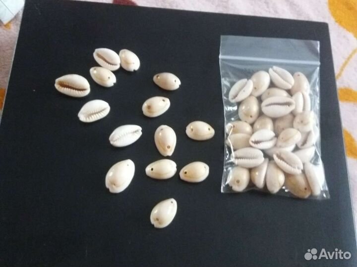 Бусины-каури морск.ракушки