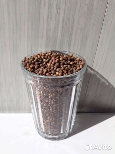 Семена кориандра (кинза)