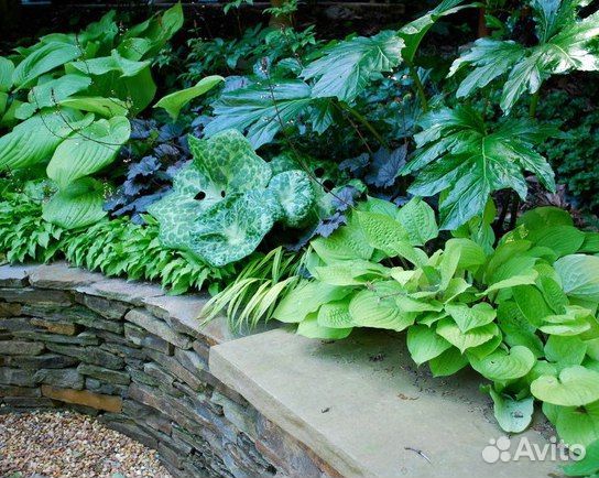 Готовая клумба цветник альпийская горка