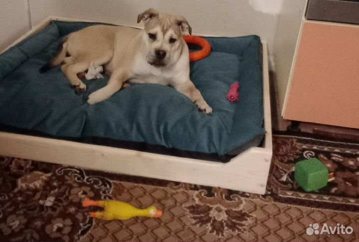 Лежанка для кошечек и собачек