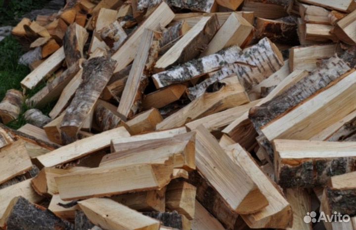 Дрова береза