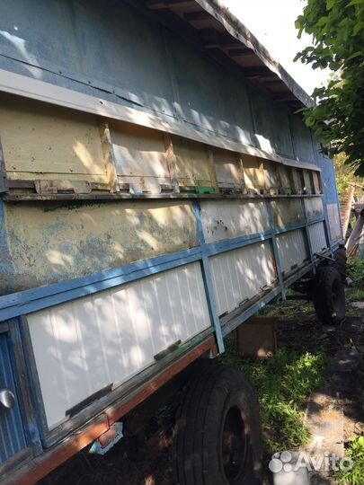 Пчелопавильон