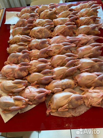 Перепелиное мясо