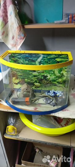 Аквариум